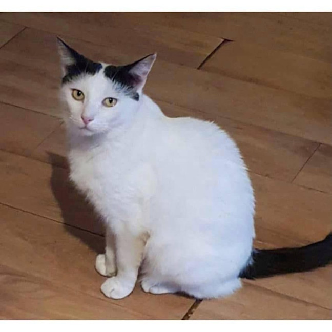 Photo of 2733   Carimba