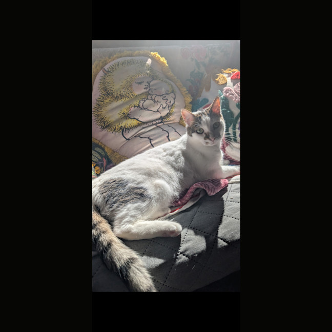 Photo of Gus