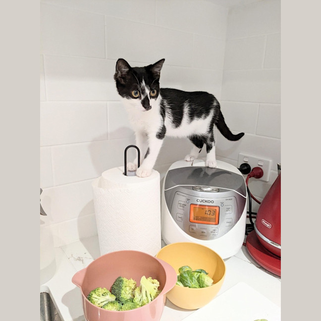 Photo of Bruce