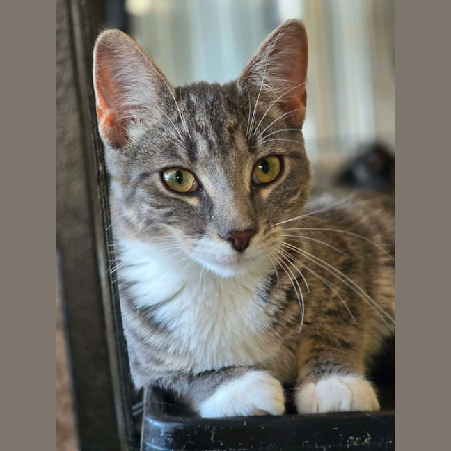 Photo of Lulu