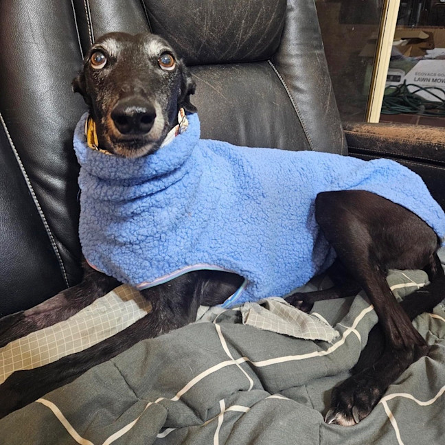 Photo of Bonnie