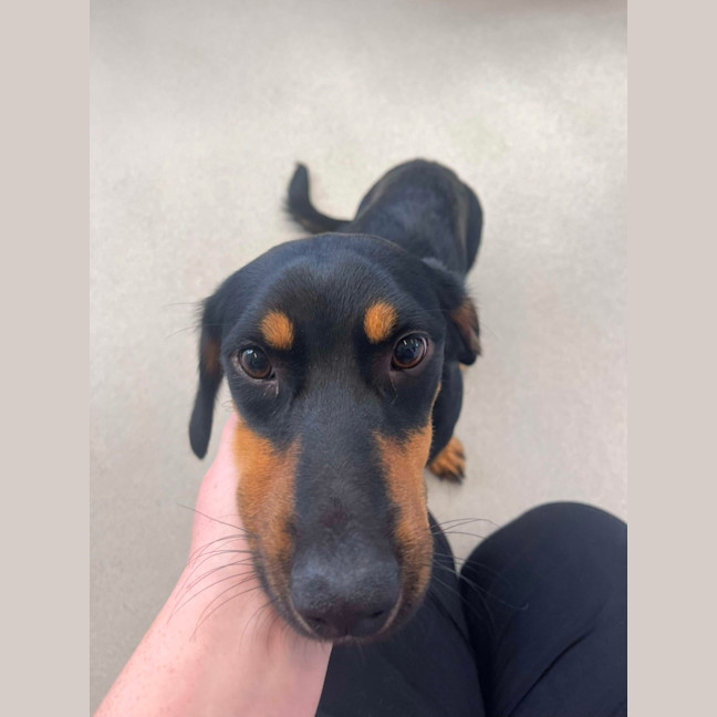 Photo of ✈ Jett 5687 ✈