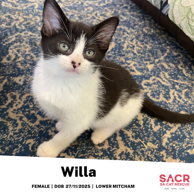 Photo of Willa