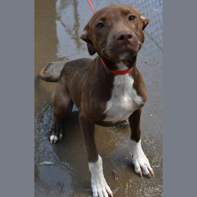 Photo of Ginny Weasley