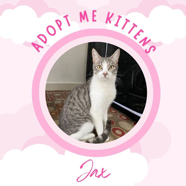 Photo of Jax