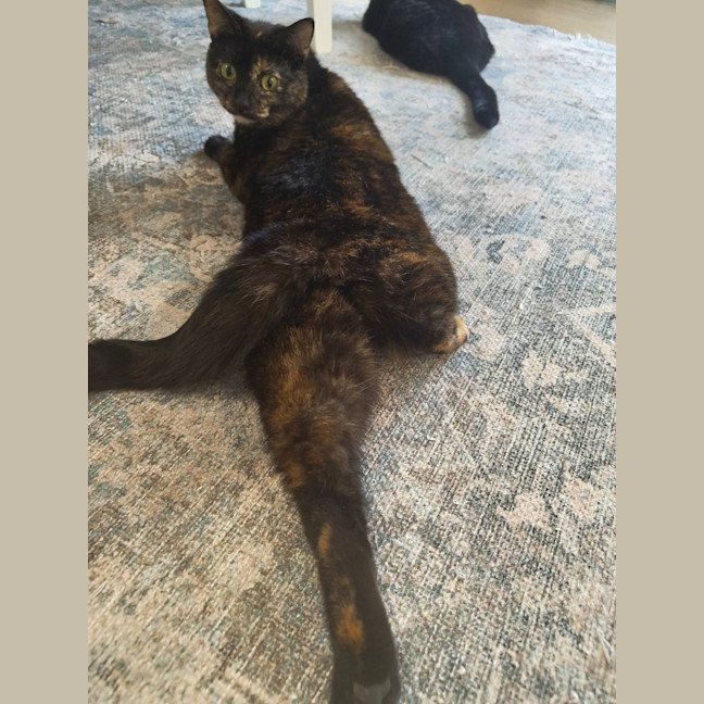 Photo of Hera