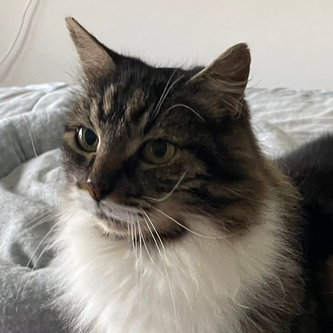 Photo of Latte