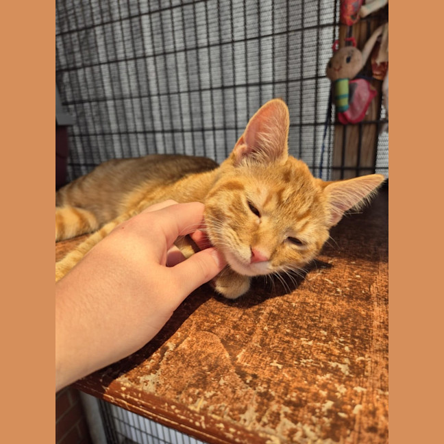 Photo of Monkey! 🦧 