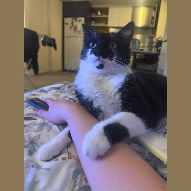 Photo of Pepper