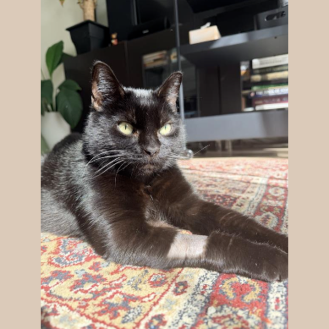 Photo of Suzie