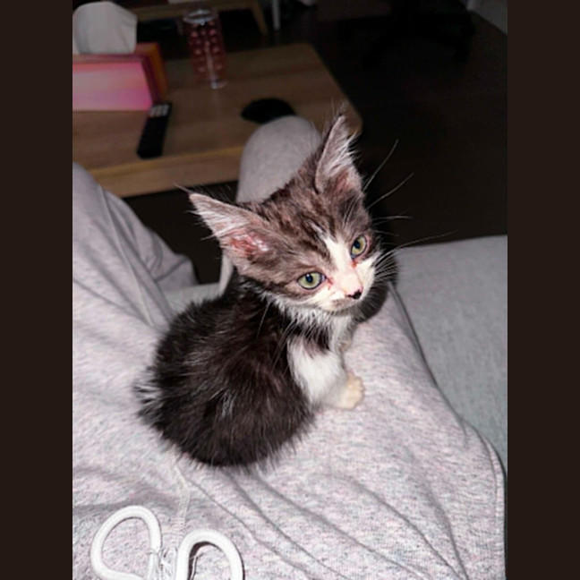 Photo of Ivy
