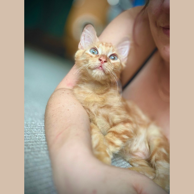 Photo of Rocket