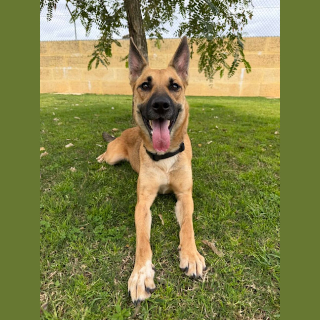 Photo of Macey