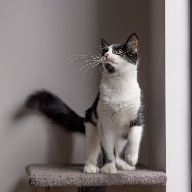Photo of Harper