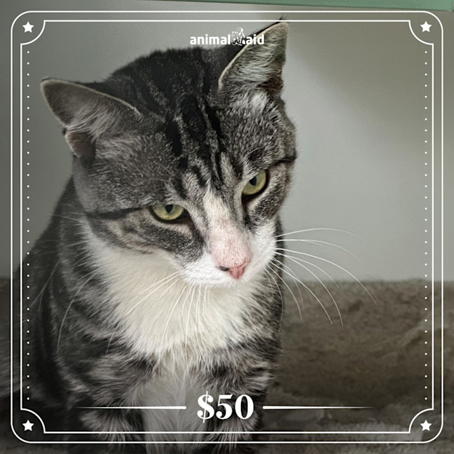 Photo of Heathcliff