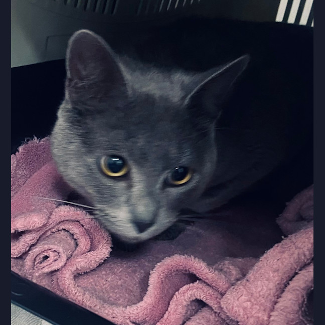 Photo of Xero