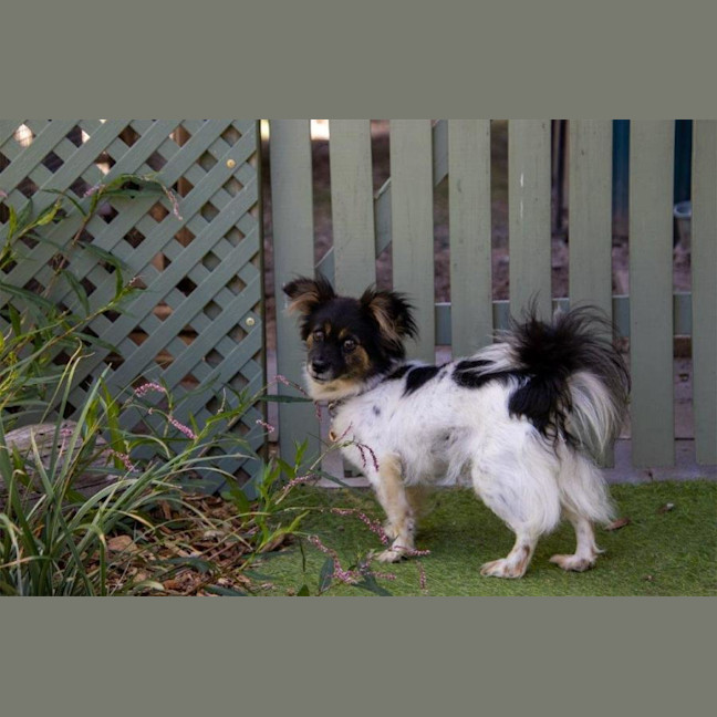 Photo of Betsy Moriarty