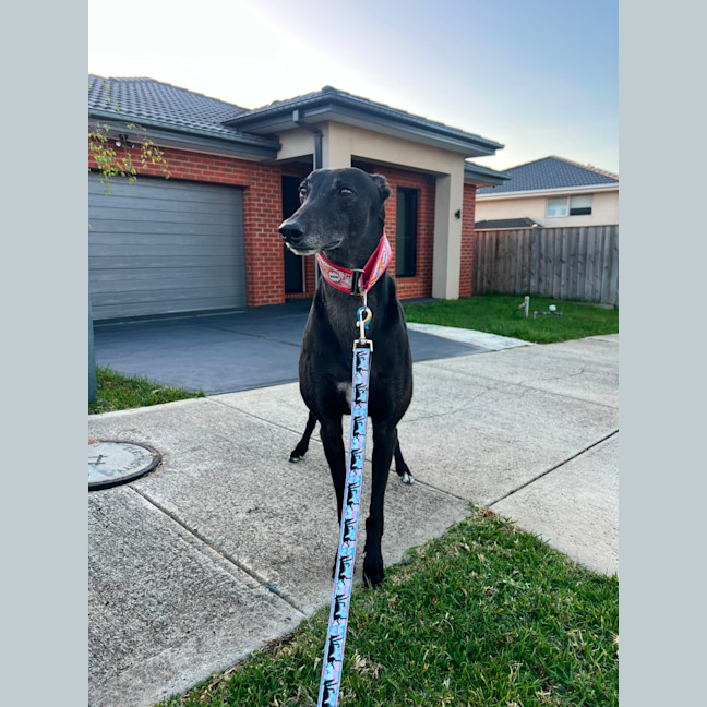 Photo of Bertie