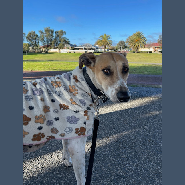 Photo of Jeena (Precious)