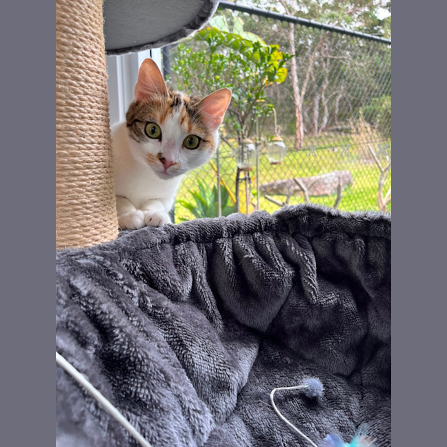 Photo of Lily
