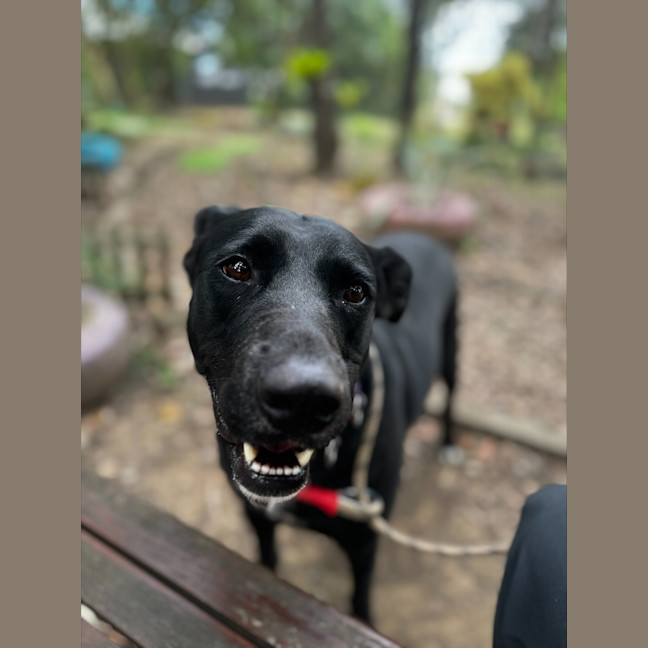 Photo of Winnie