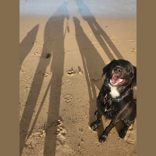 Photo of Lilly