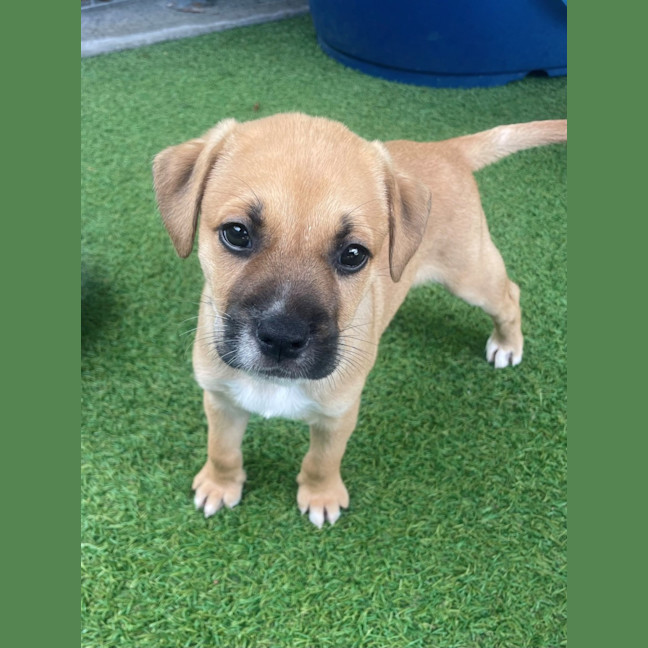 Photo of D1205 Miles