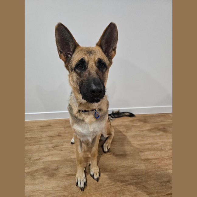 Photo of Luna
