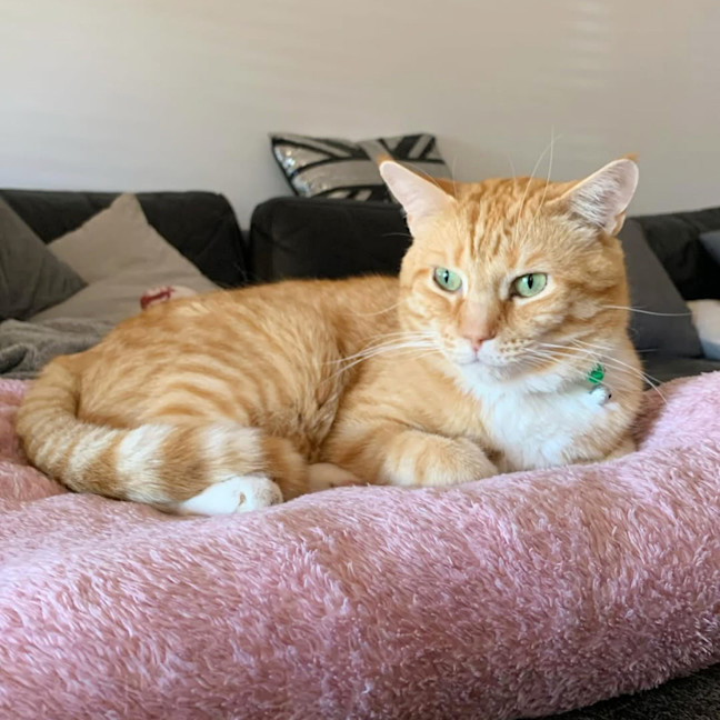 Photo of Cooper & Poh