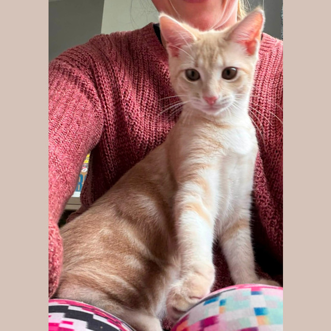 Photo of Scotch