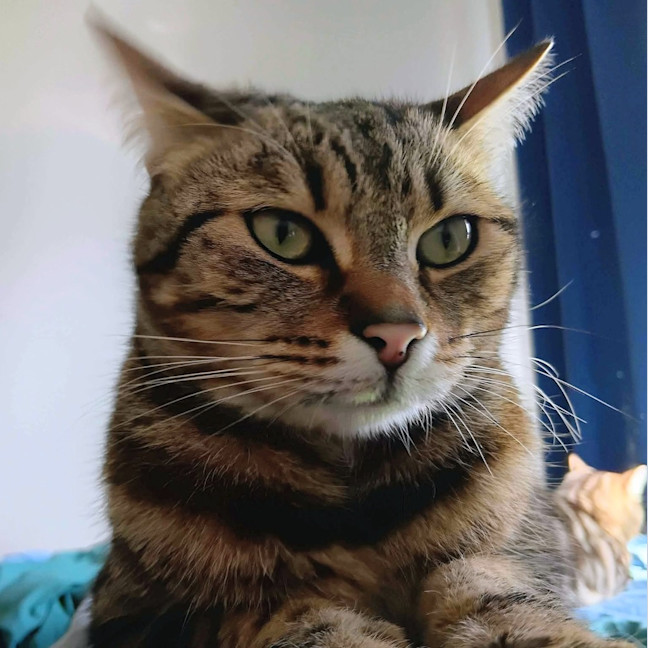 Photo of Charlie