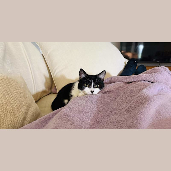 Photo of Evey