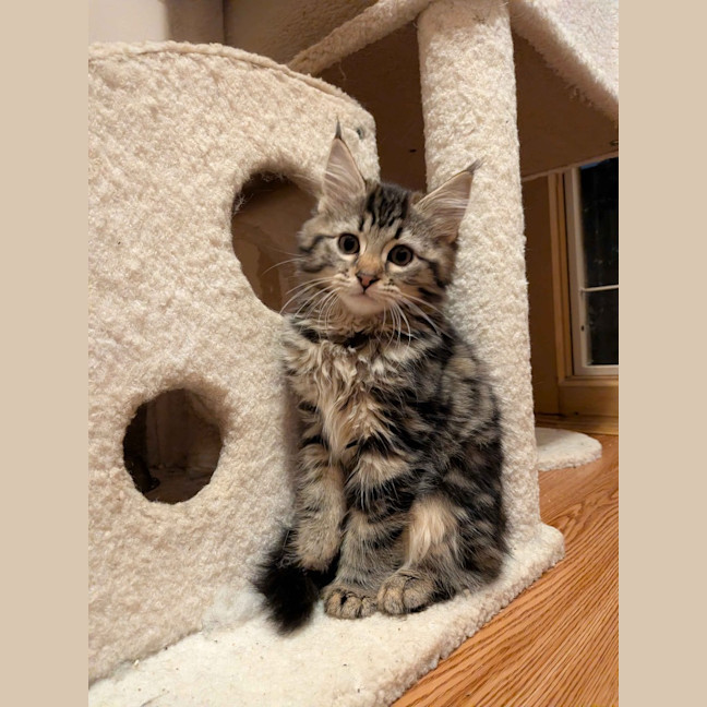 Photo of Rosalita