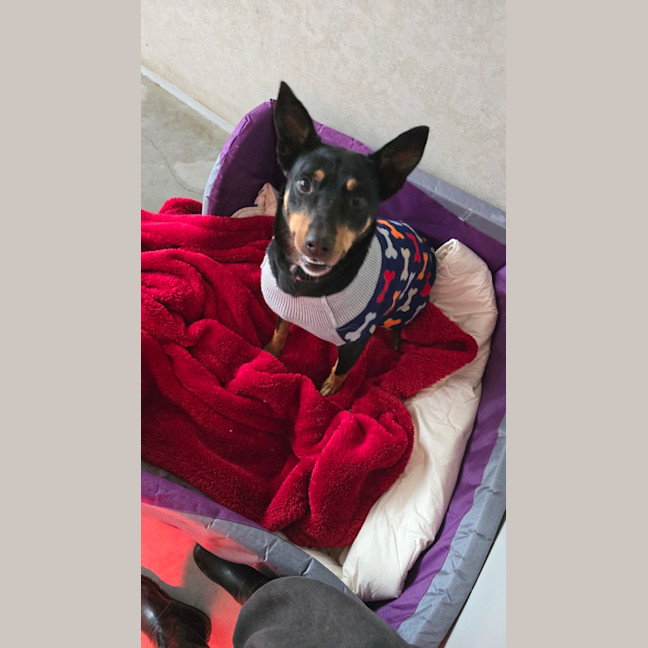 Photo of Lexi