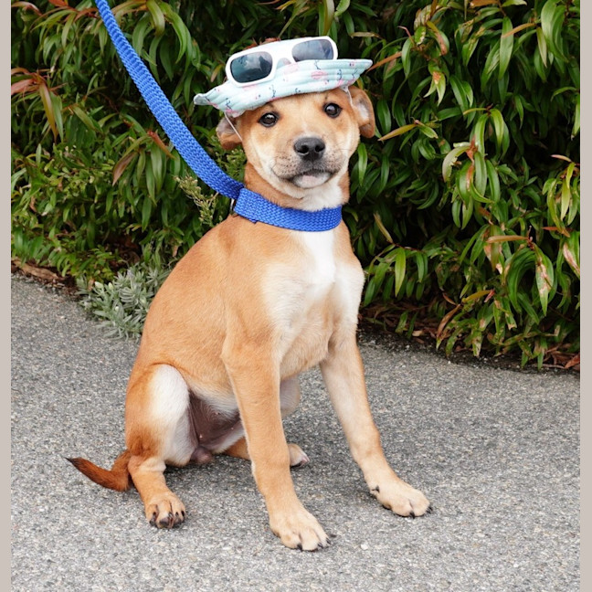 Photo of Ginger And Rodger