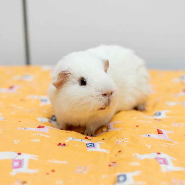 Photo of Fred