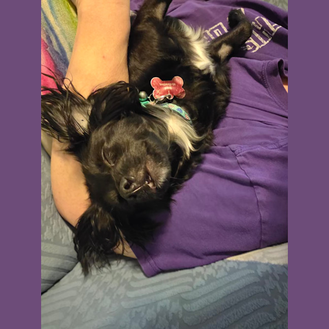 Photo of Roxy