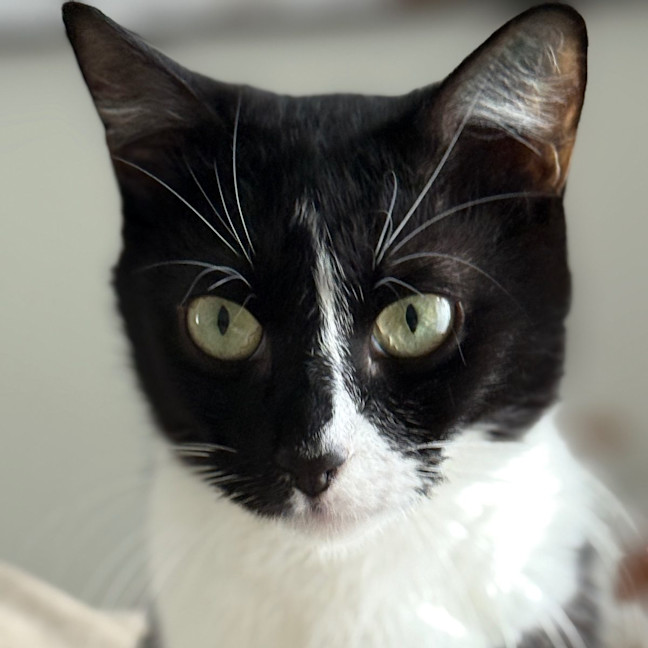 Photo of Jasmine