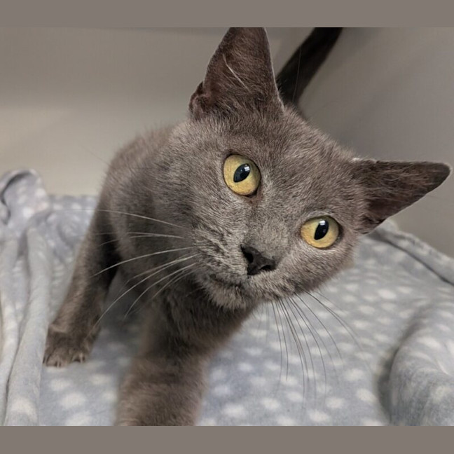Photo of Tilly