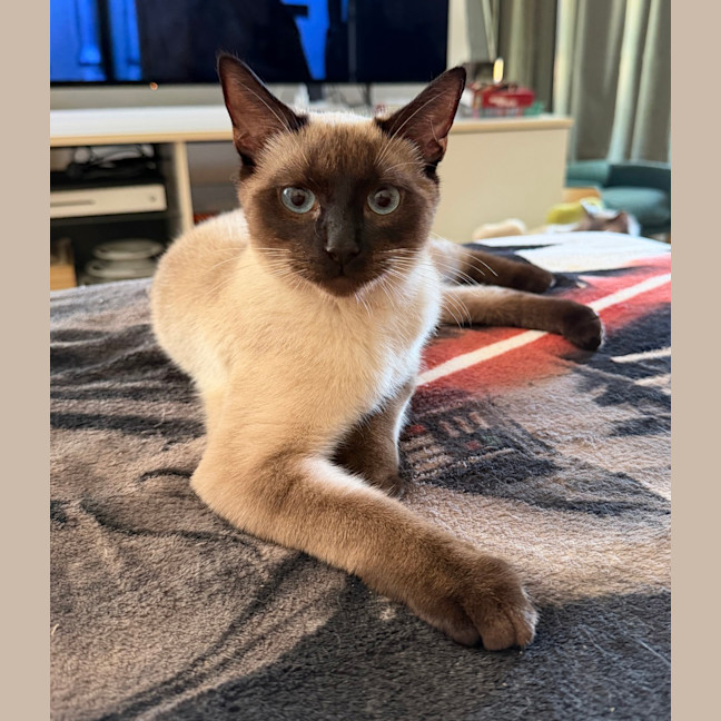 Photo of Hades