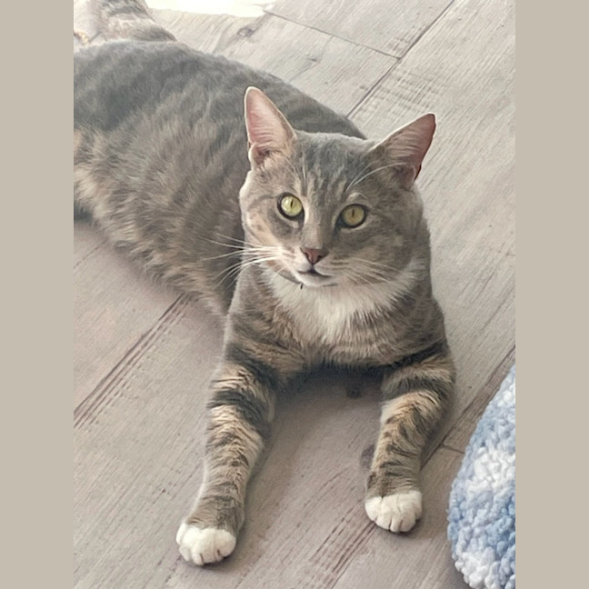 Photo of David (9185)