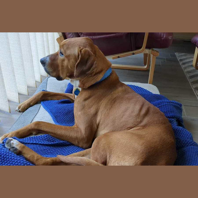 Photo of Otis   38455