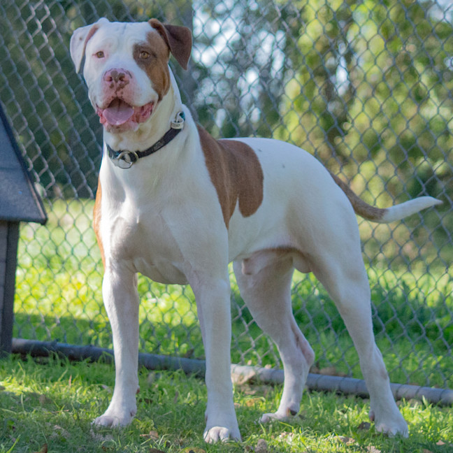 Photo of Max