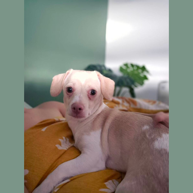 Photo of Doug