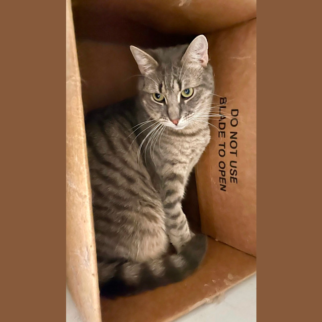 Photo of Dorian And Sterling