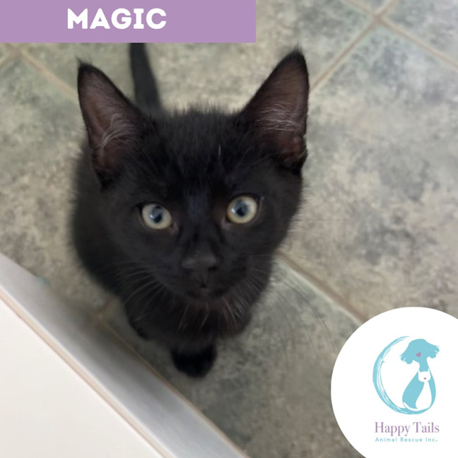 Photo of Magic