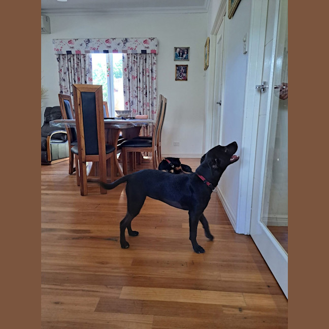 Photo of Zara