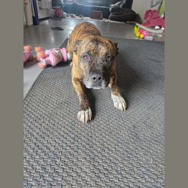 Photo of Zeus 💜