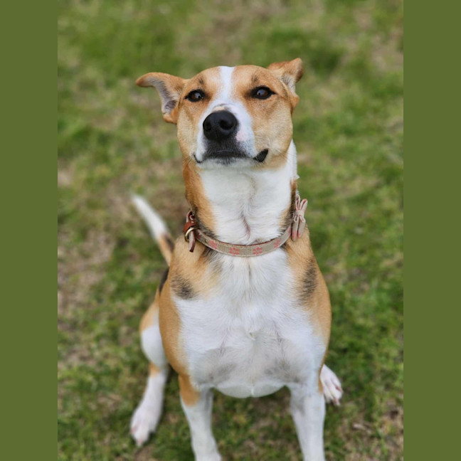 Photo of 🌼 Daisy 6367 🌼