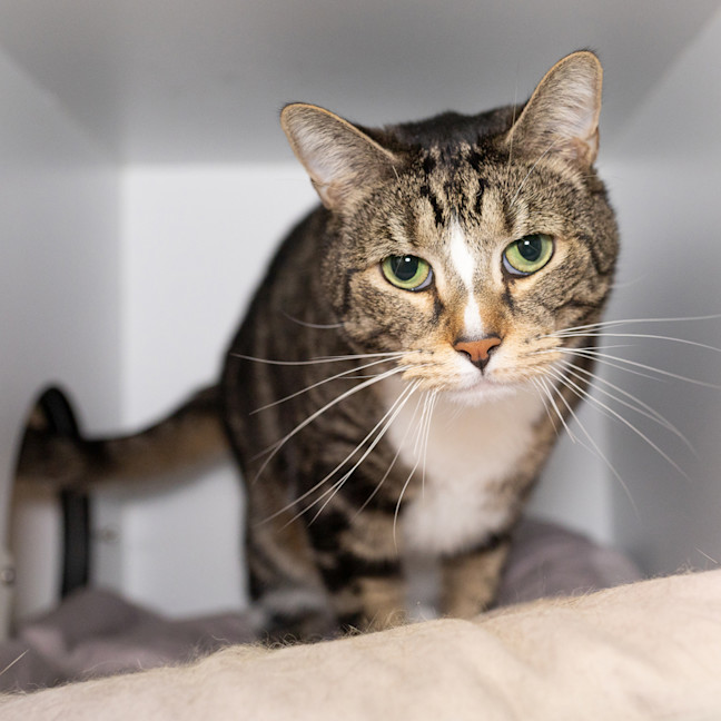 Photo of Cash
